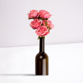 Romantic Rose Arrangement in Bottle